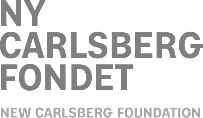 New Carlsberg Foundation Logo